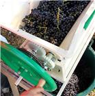 Manual grape grinder