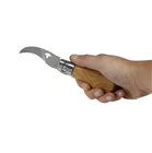 Folding oak mushroom knife