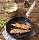 28 cm induction pan with ultra-resistant non-stick stainless steel tail made in France
