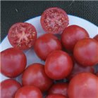 Bernese pink tomato seeds