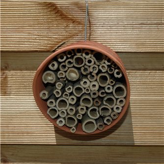 Hotel for solitary bees and bumble bees