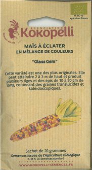 Glass Gem corn seeds